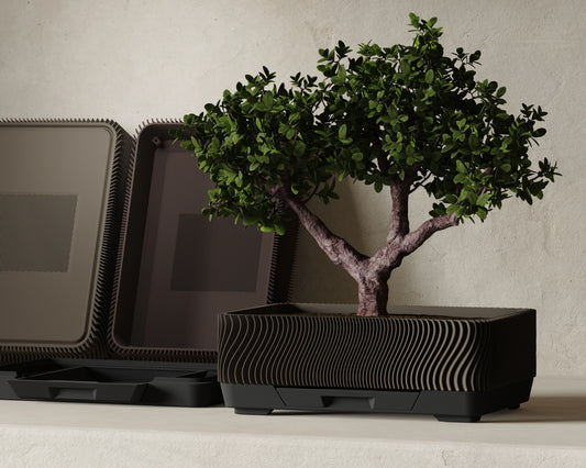 Bonsai Wave – Japandi miska na bonsaj s podnosom