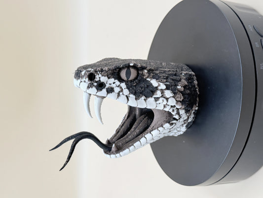 Diamondback Rattlesnake Head – Open Strike
