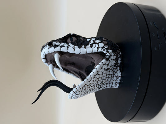 Diamondback Rattlesnake Head – Open Strike