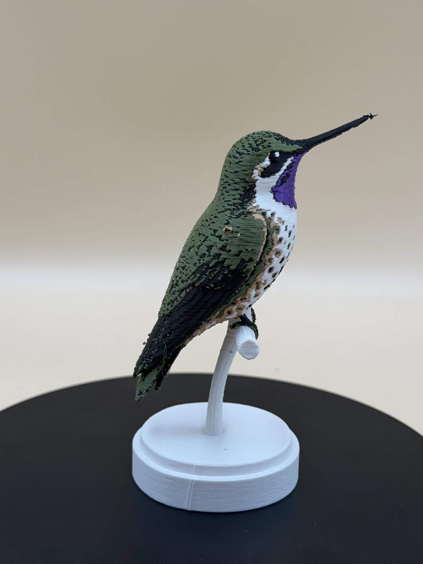 Kolibrík Chilean Woodstar