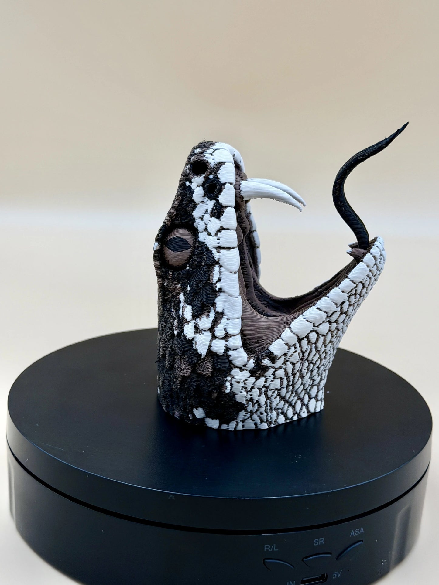 Diamondback Rattlesnake Head – Open Strike