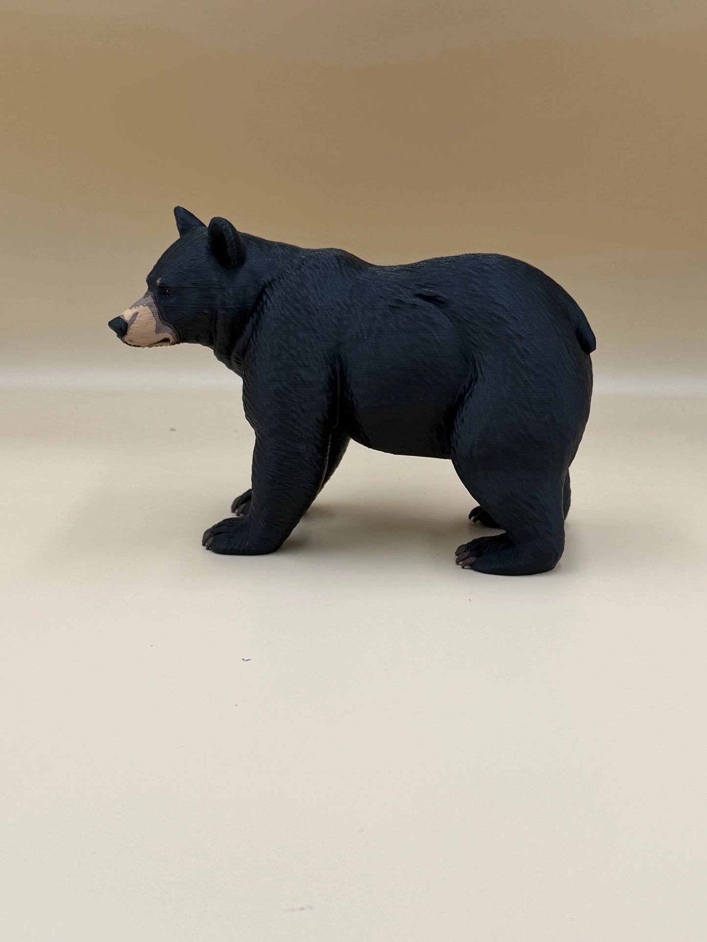 Shadow of the Forest – Black Bear