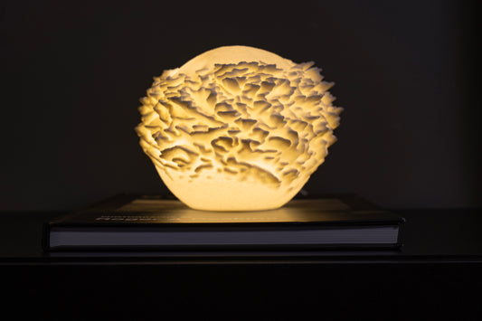 Reef Mini koralová lampa na knihe, tmavé pozadie