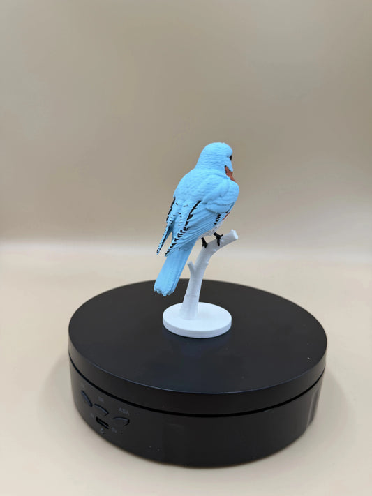 Bluebird na konári