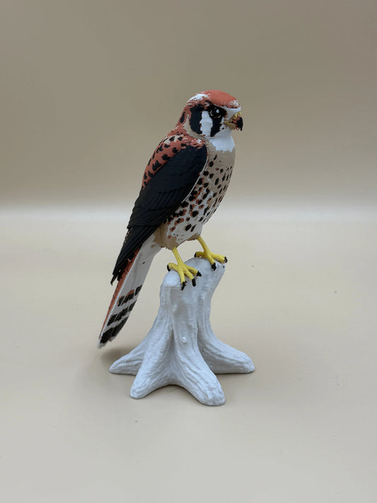 Sokol pestrý (Kestrel) na konári