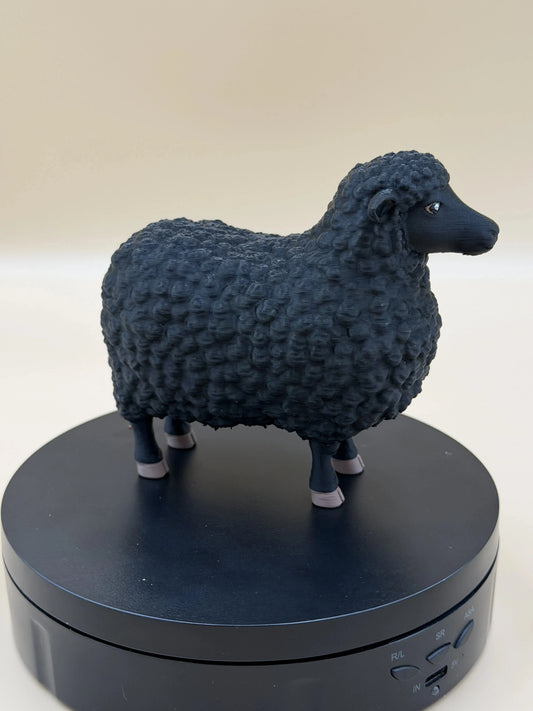 Čierna ovečka Midnight Fleece
