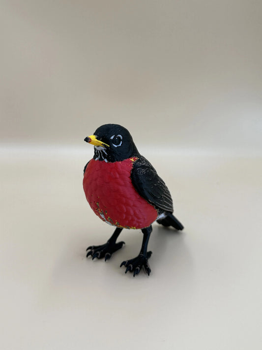 Red Robin – americký drozd