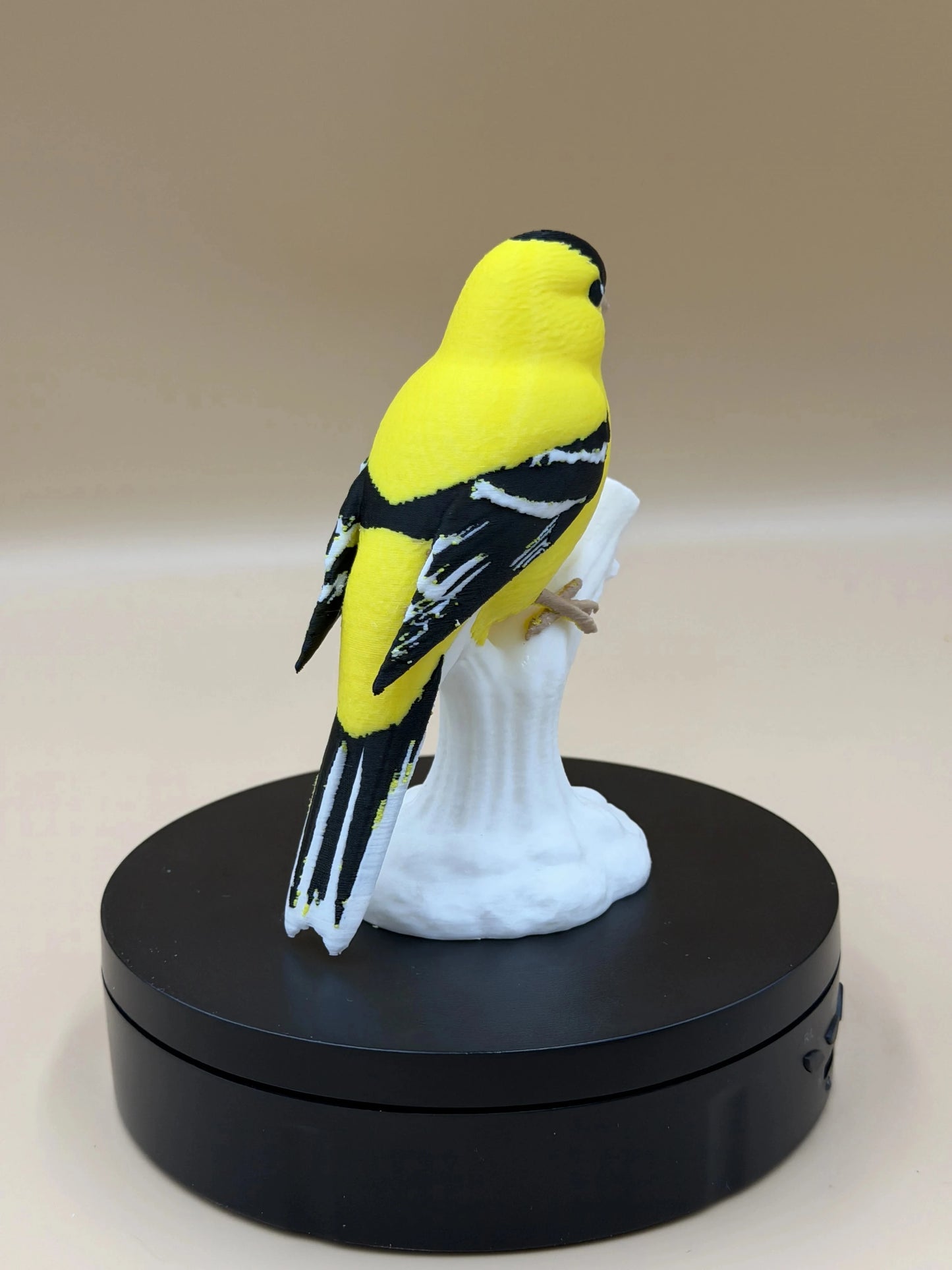 Stehlík čížavý Sunshine (Goldfinch)