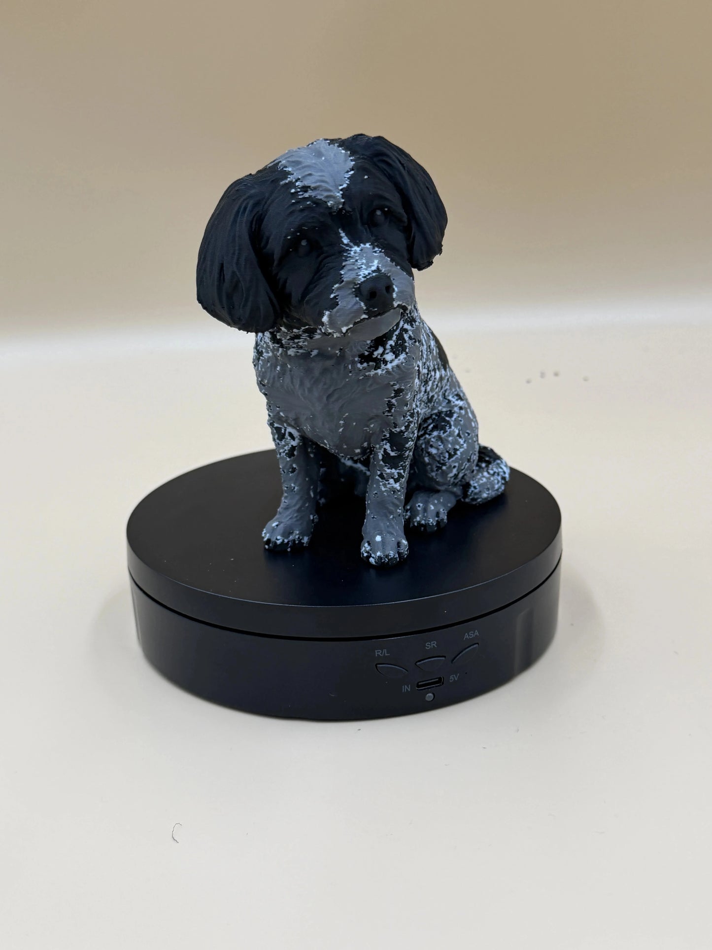 Havanese šteniatko Bella