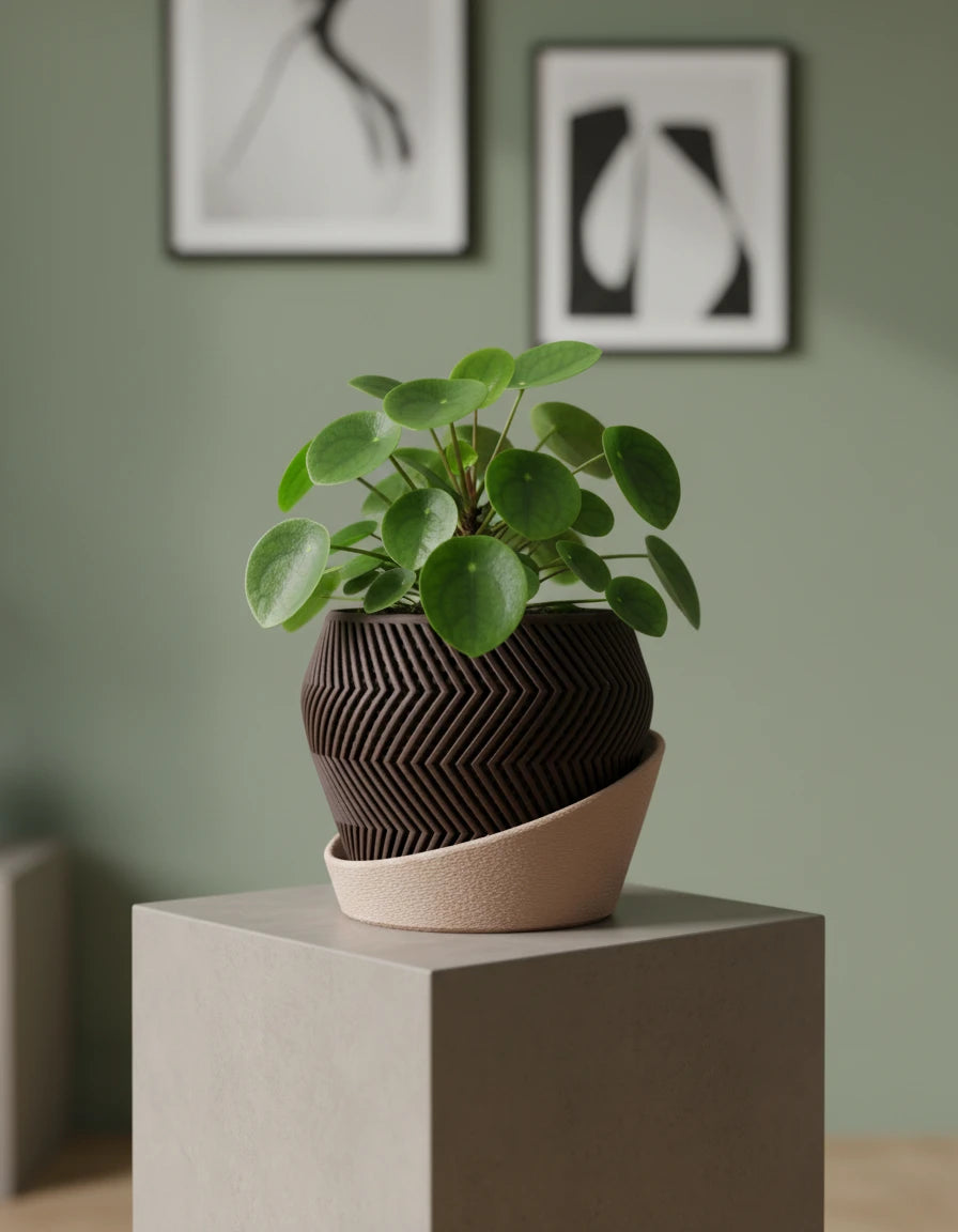 braga • planter