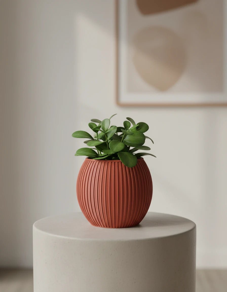 halo · planter