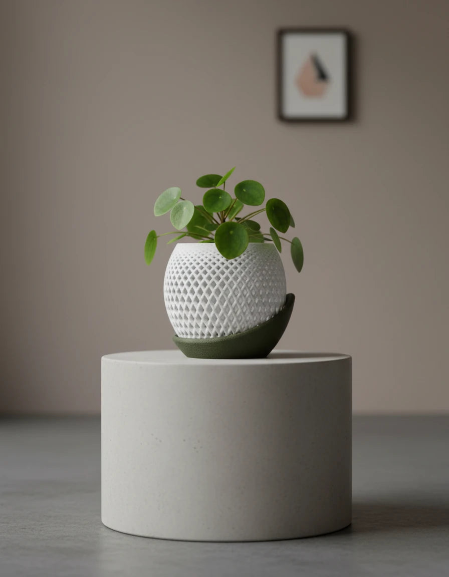 polygon · orchid planter