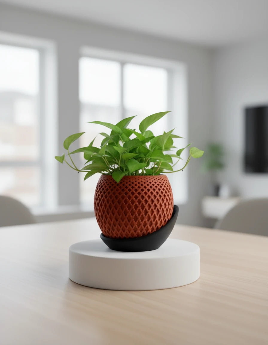 polygon planter · wrap around plate
