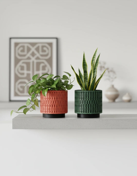 echelon · planter