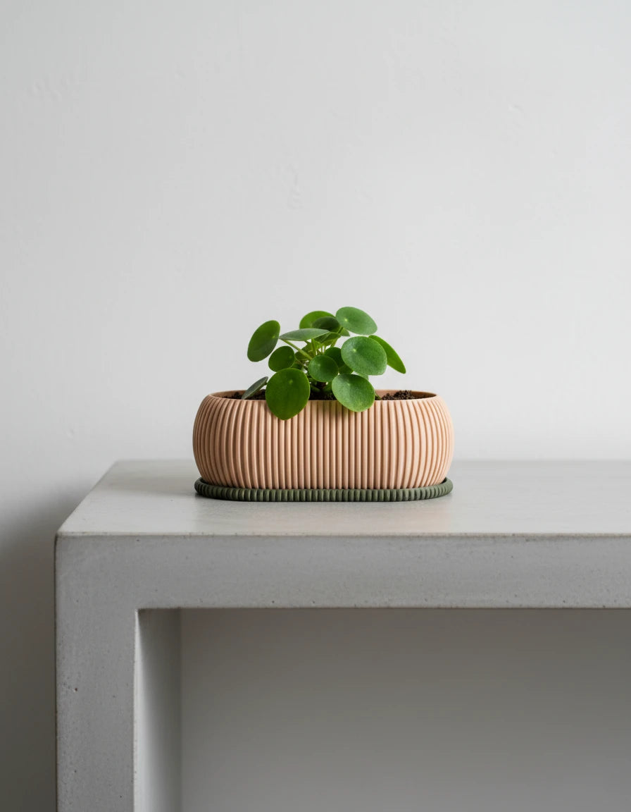zephyr · bonsai planter