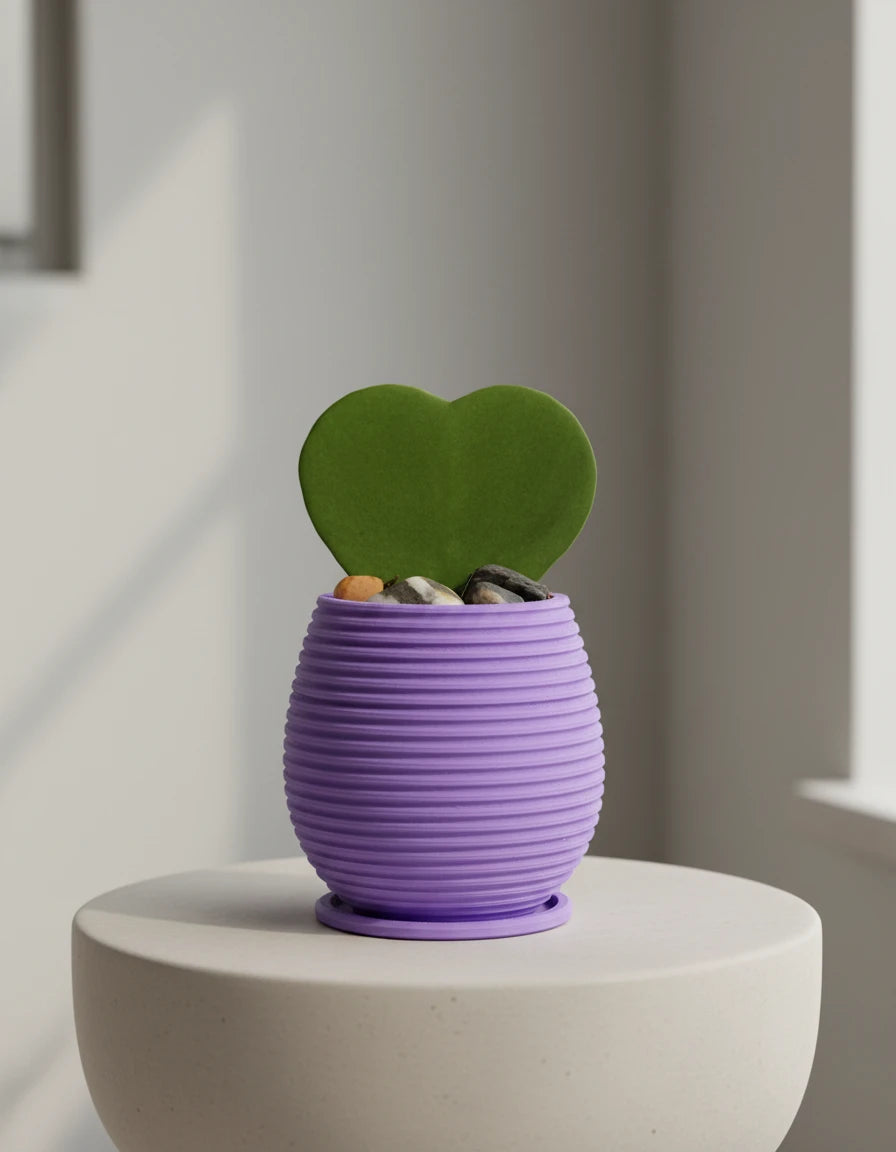 planter · horizontal pattern