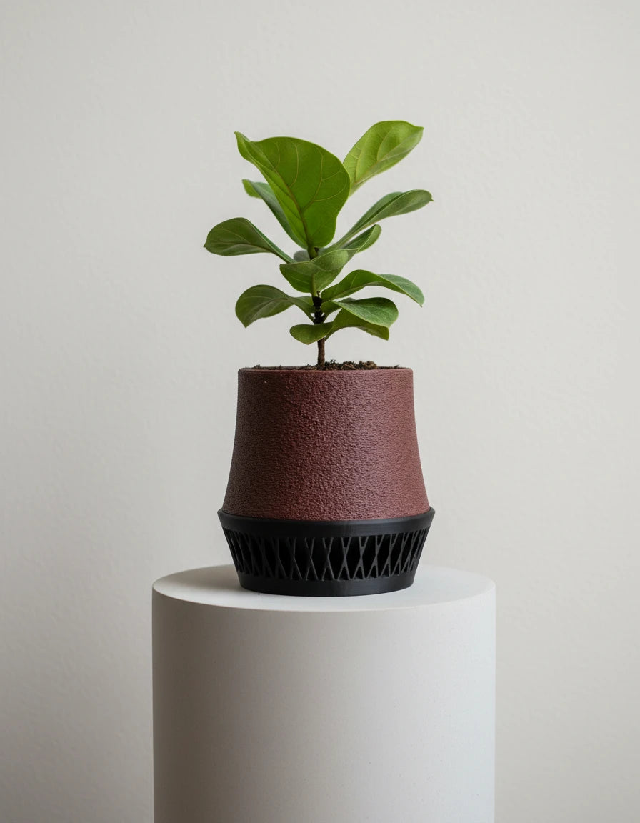 havenis • planter