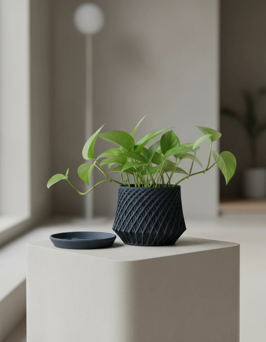 kairo · planter