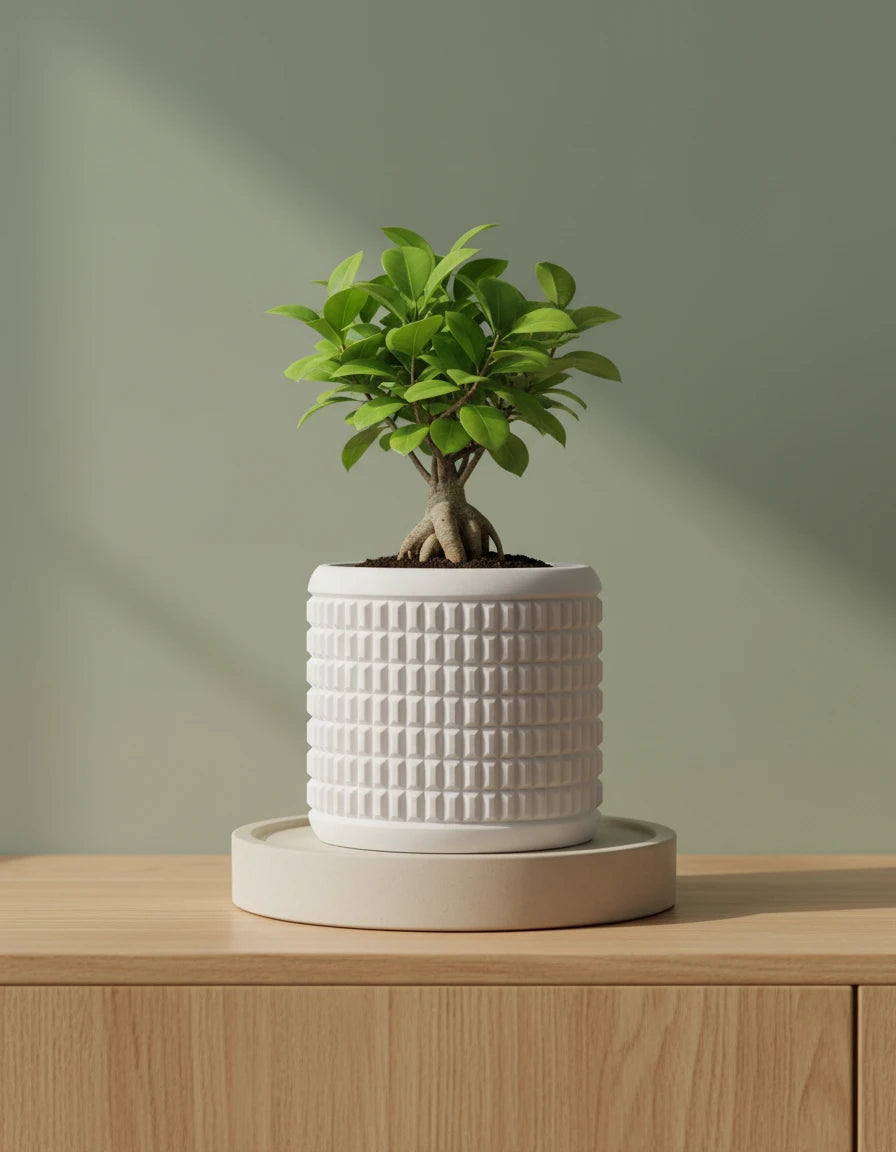 quartz · planter