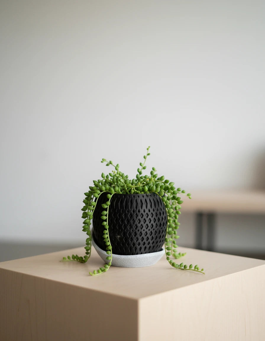 vertex · planter with wrap around plate