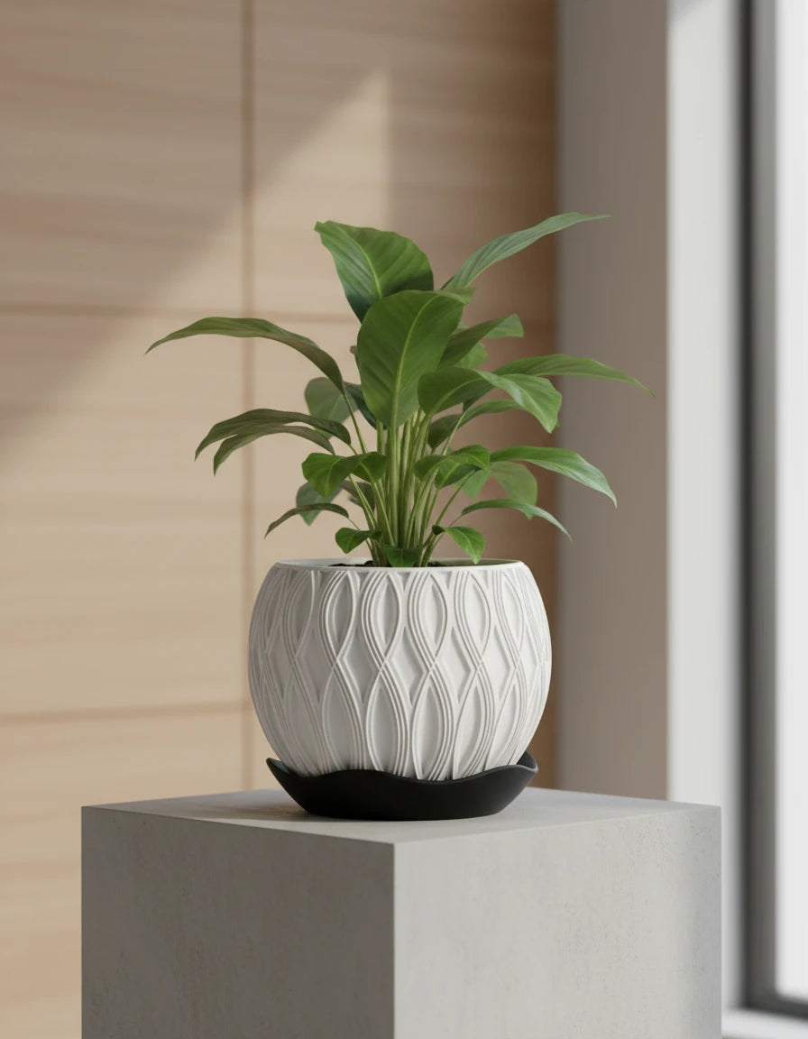 velar • planter
