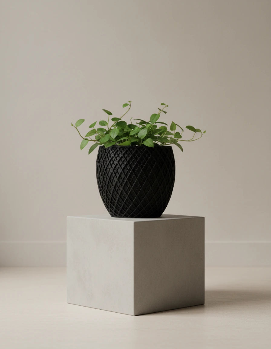 spectrum • planter