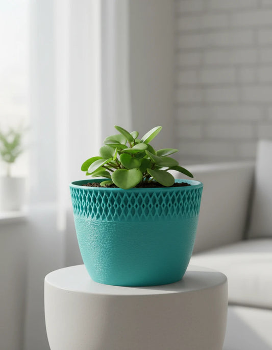 shift • planter