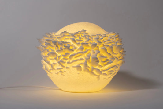 Reef Mini koralová lampa na svetlom pozadí, pohľad spredu