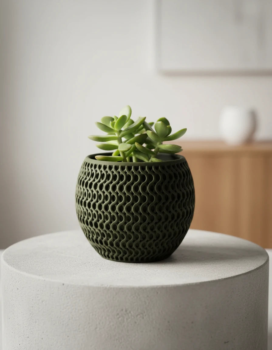 echo · planter