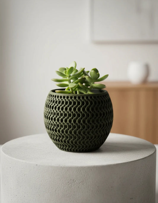 echo · planter