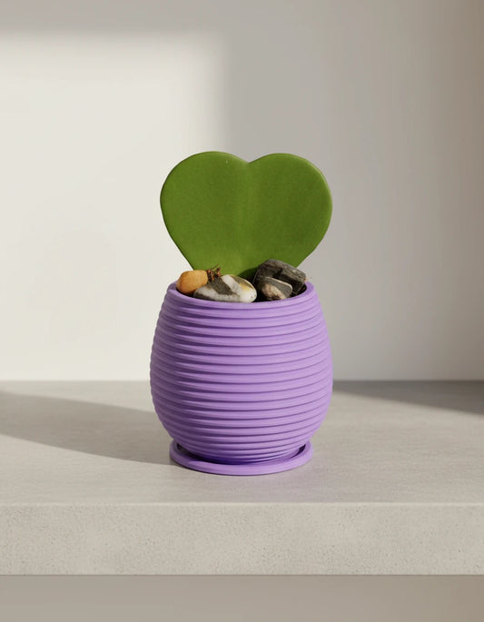 planter · horizontal pattern