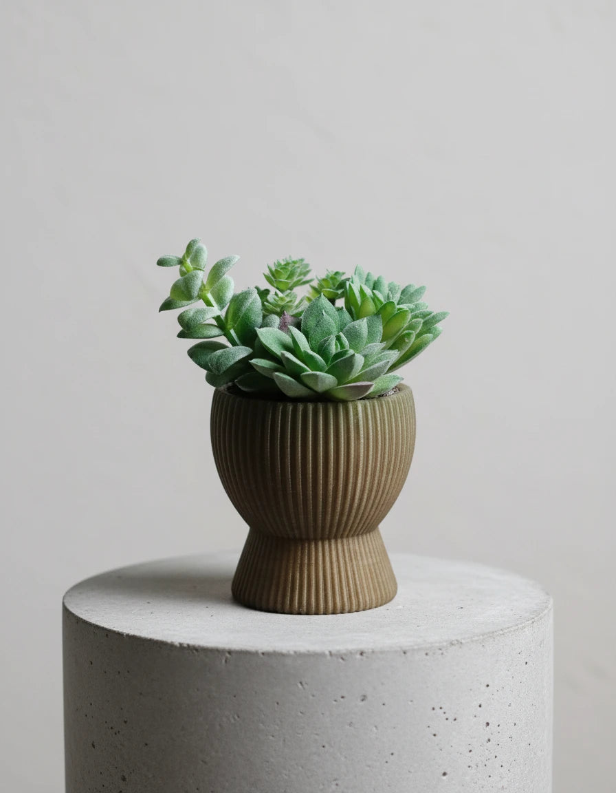 tundra · planter