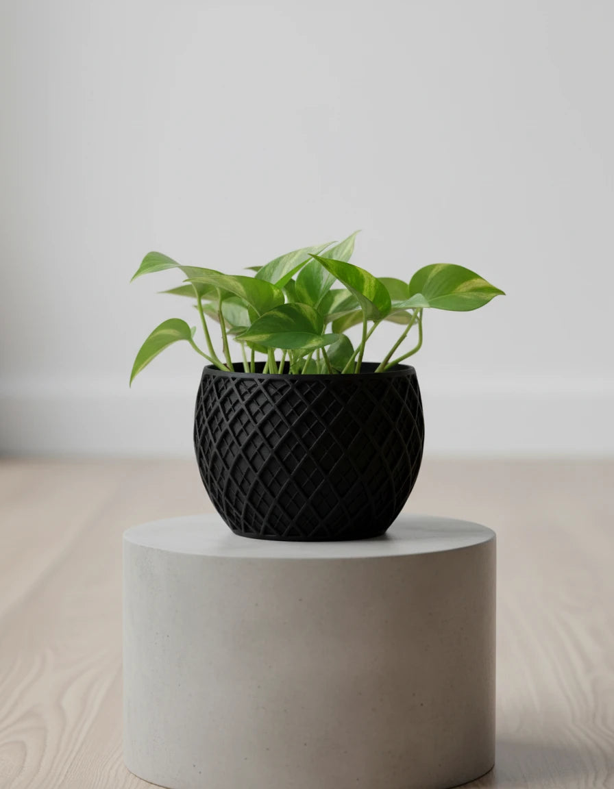 spectrum • planter
