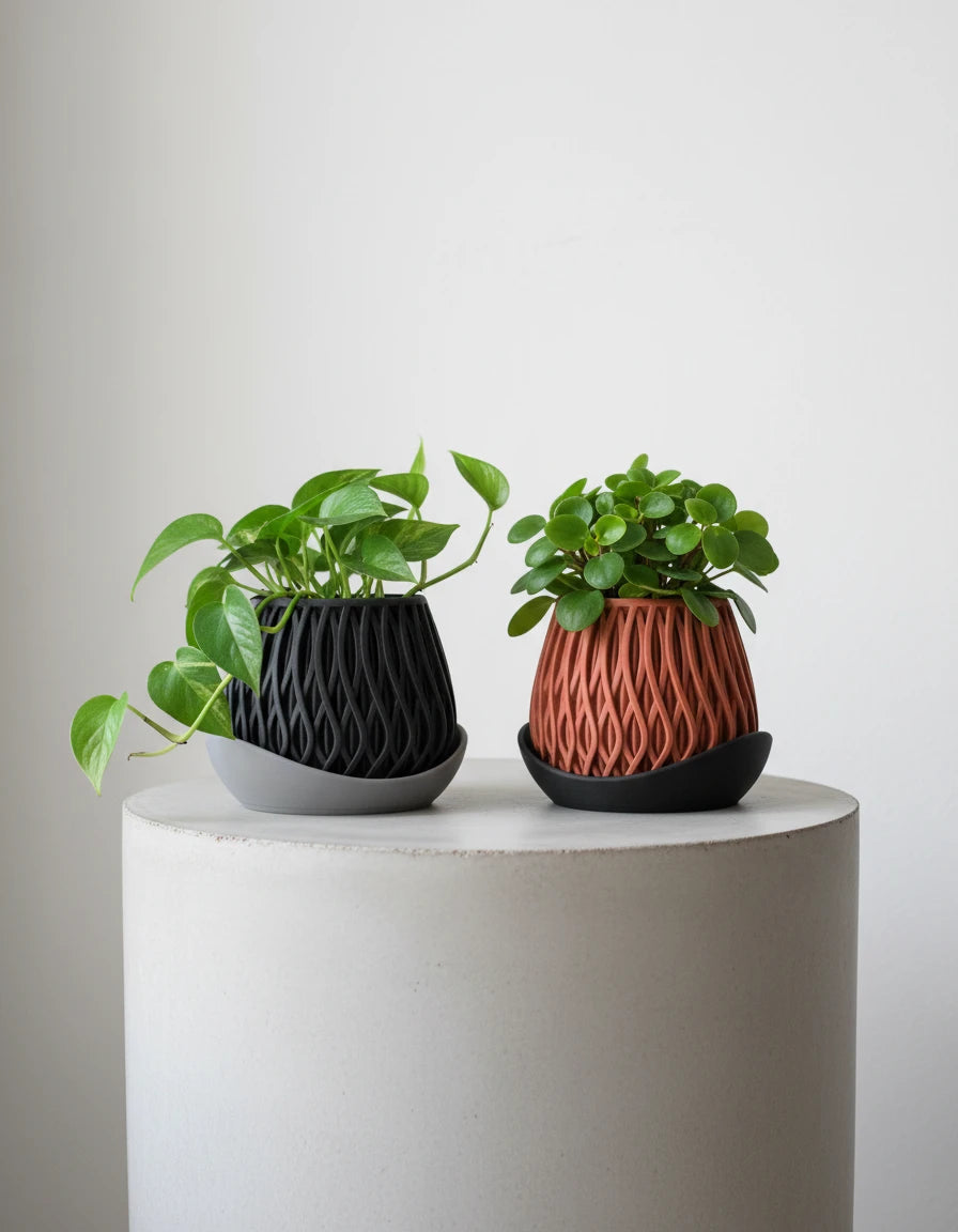alvao • planter