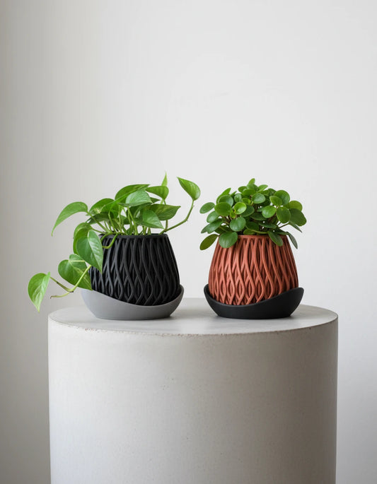 alvao • planter
