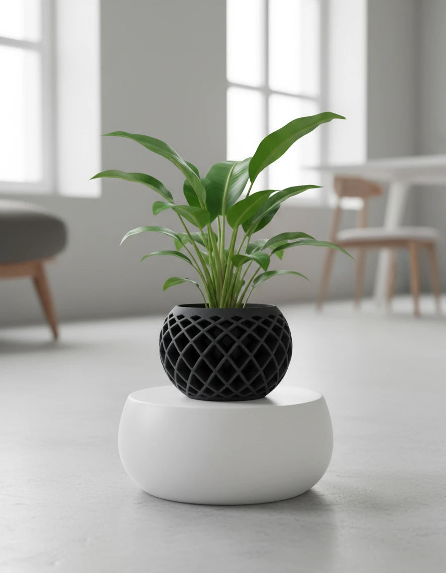 evolve • planter