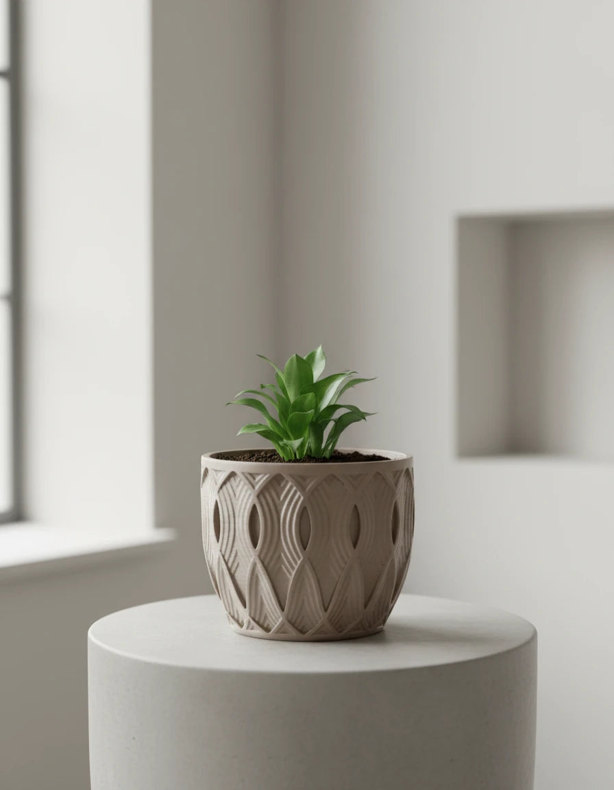 salir • planter