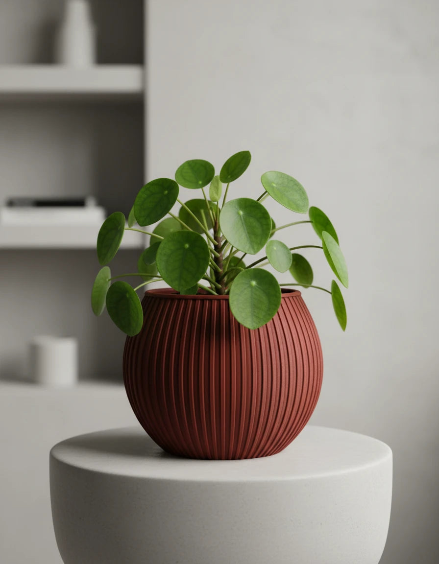 halo · planter