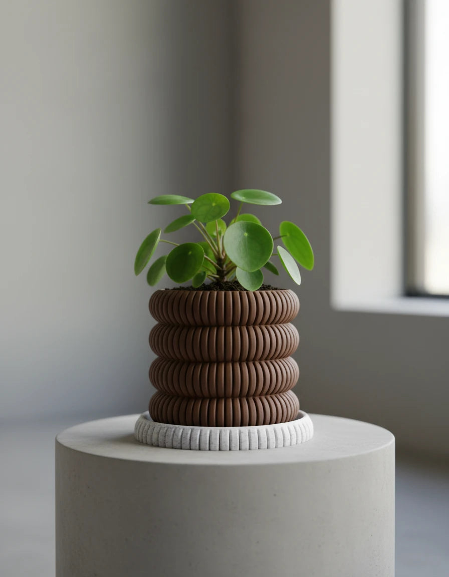 ribbed planter · with plate