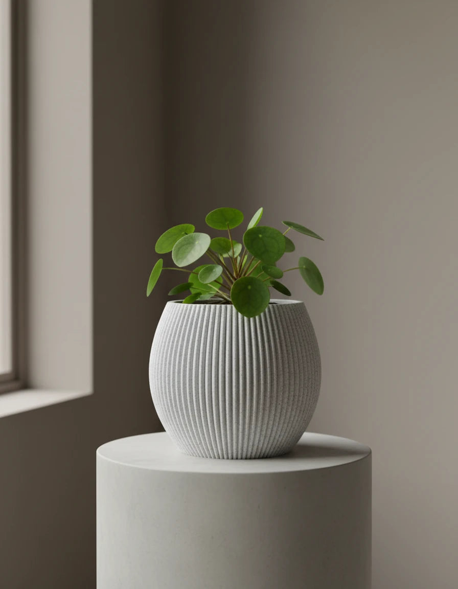 leiria • planter