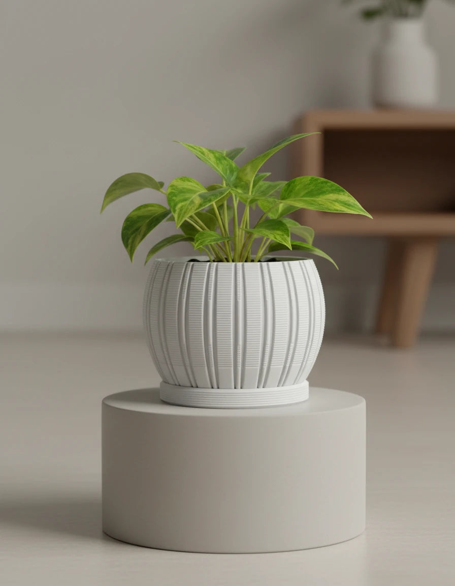stratum · planter