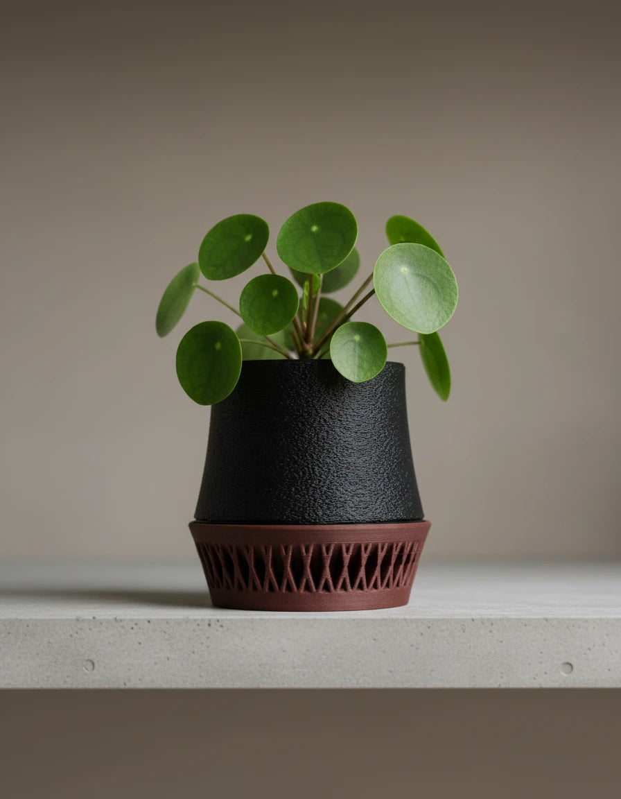 havenis • planter