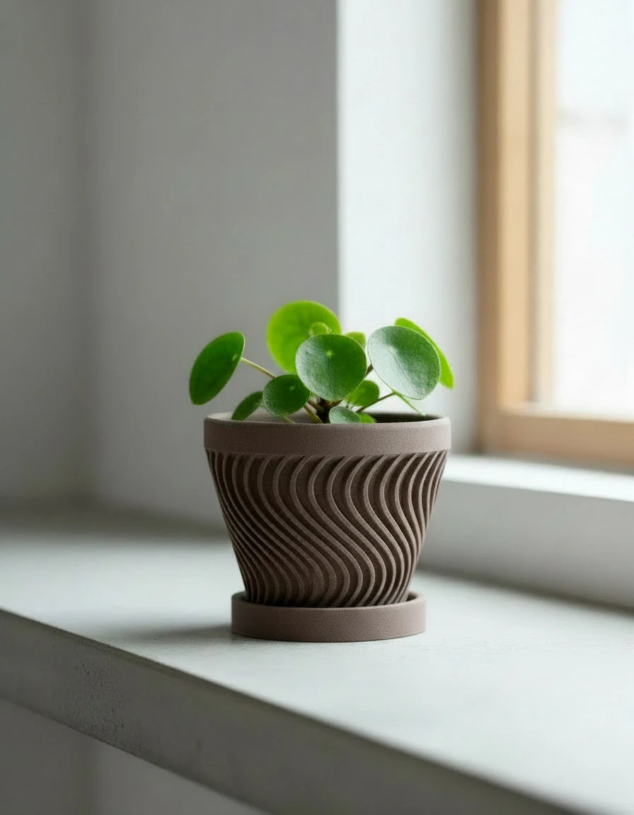 axis · pot with plate