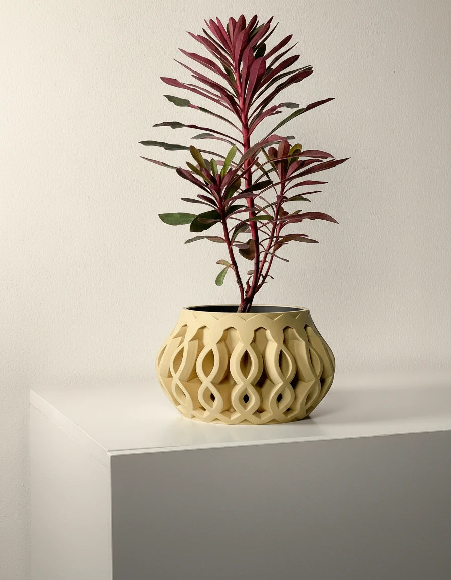 Kvetináč Cylas