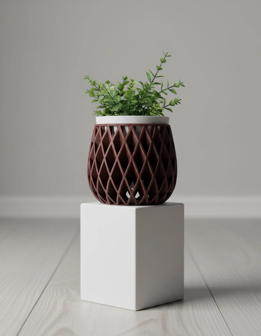 beja • planters