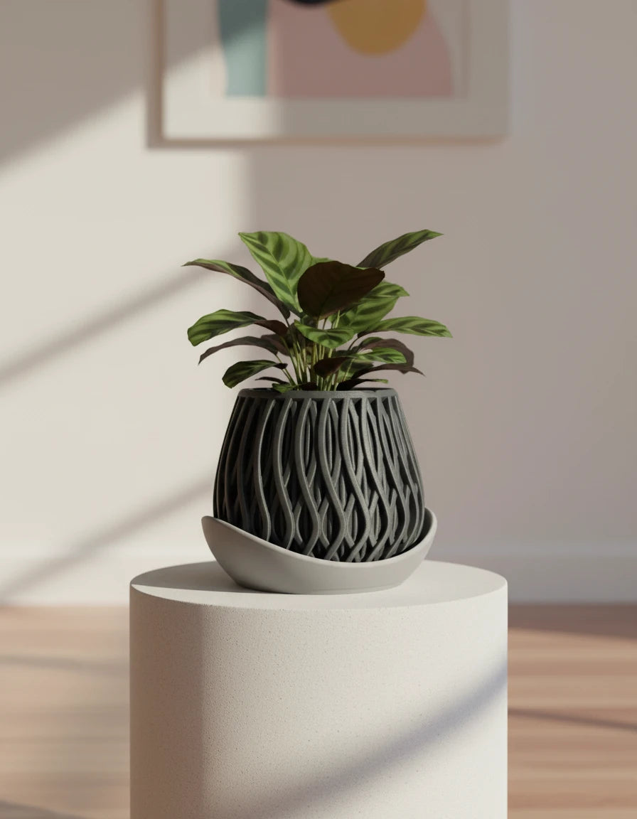 alvao • planter