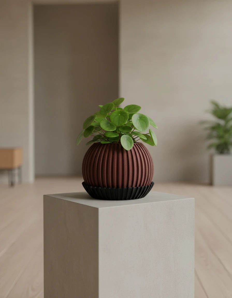 zenith • planter
