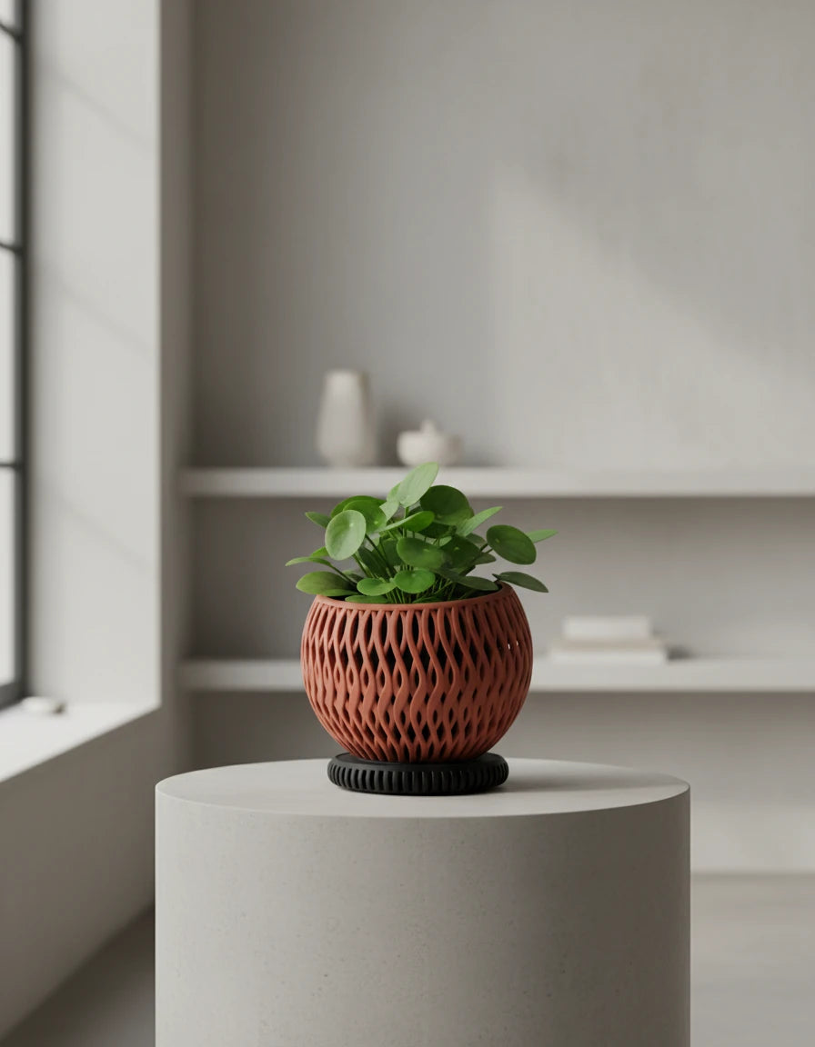 briosi • planter