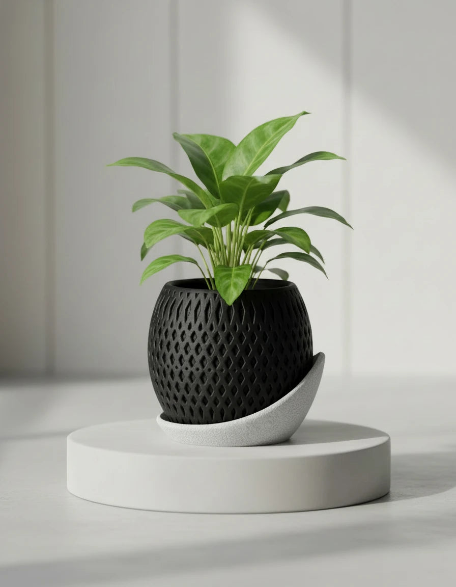 vertex · planter with wrap around plate