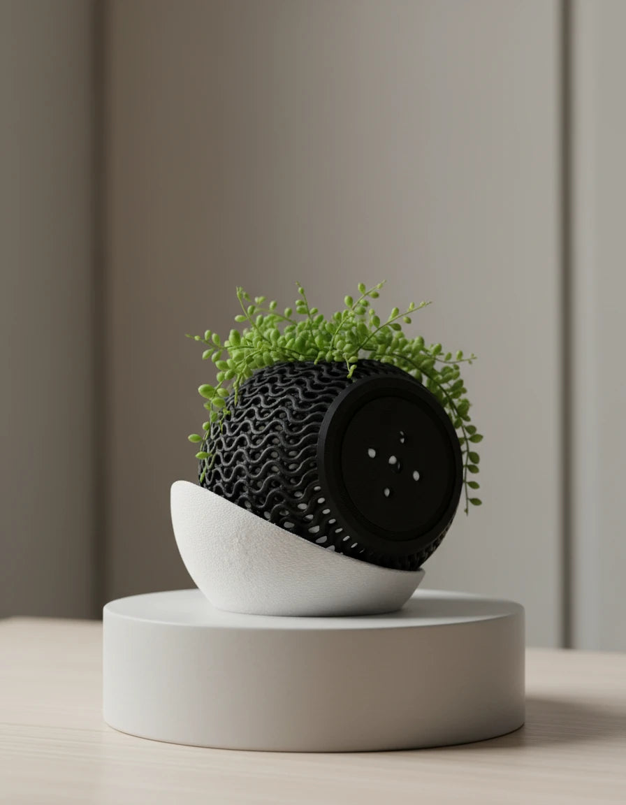 echo • orchid planter